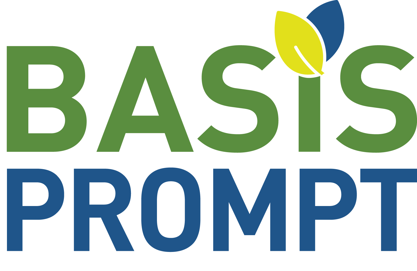 BASIS PROMPT